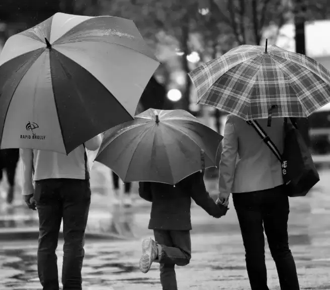 Golf Umbrellas