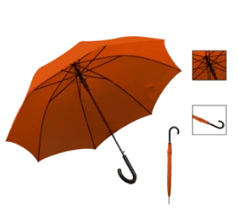  Walking Stick Umbrella